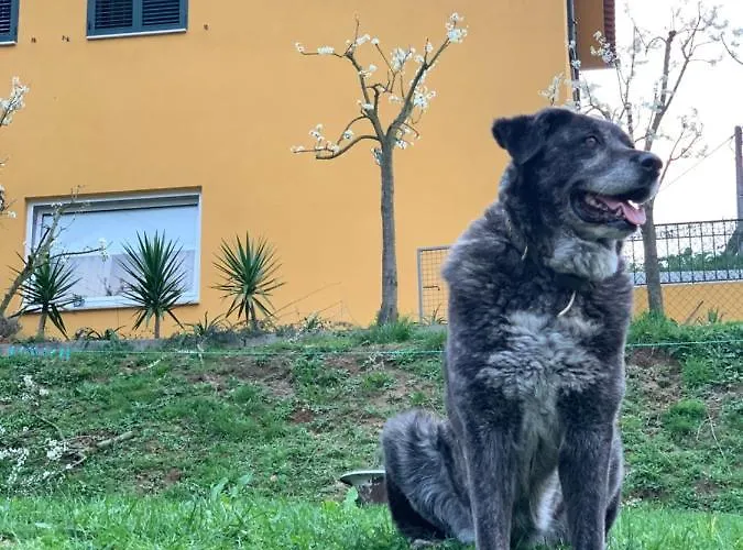 Ferienhaus Casinha A Porta Arouca