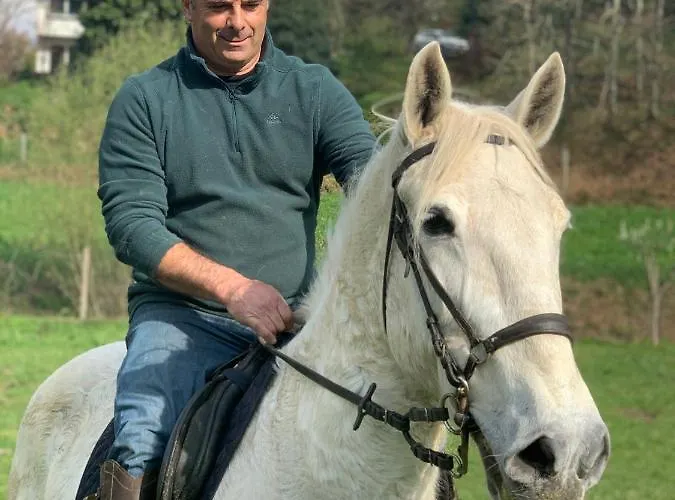 Casinha A Porta Arouca