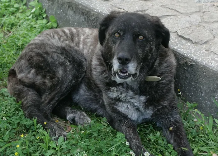 Dom wakacyjny Casinha A Porta