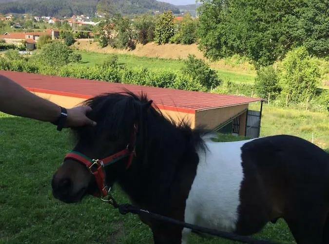 Casinha A Porta Arouca
