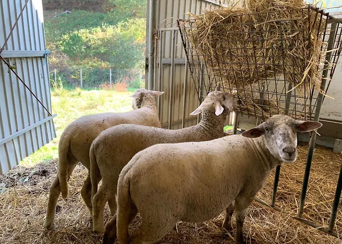 Casinha A Porta Dom wakacyjny *